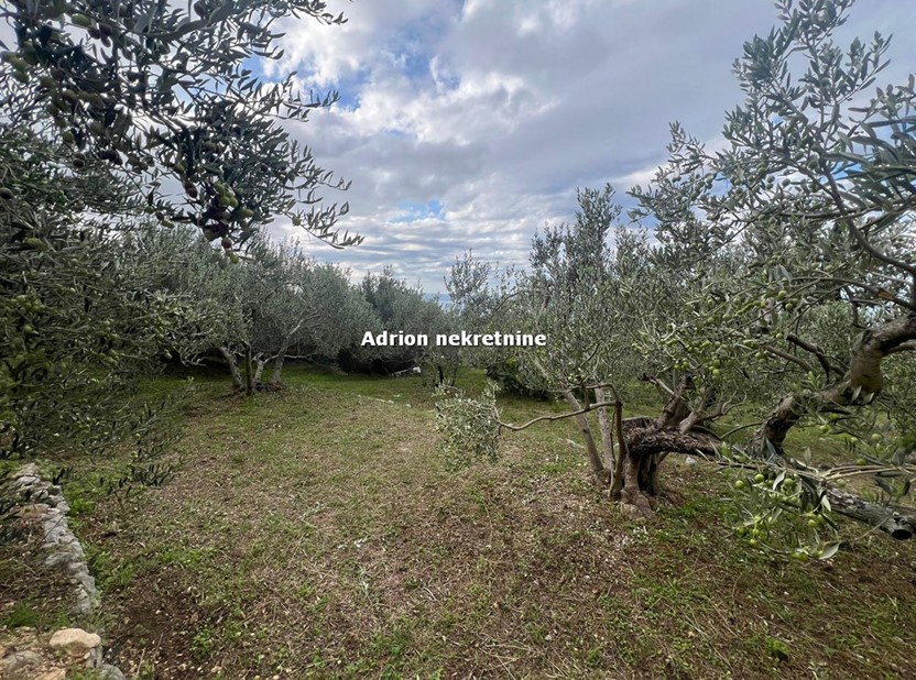 building in Makarska